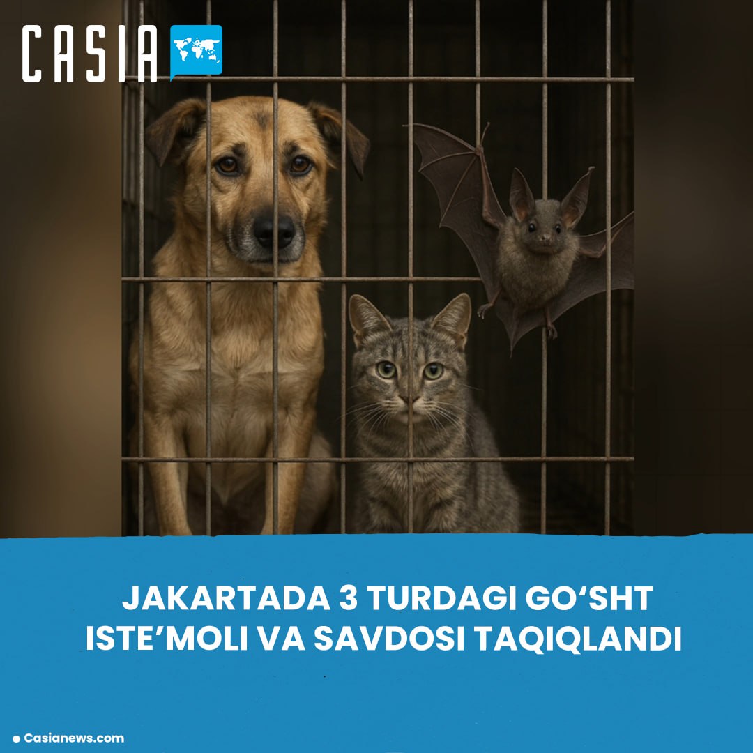 Jakarta bans dog, cat, and bat meat
