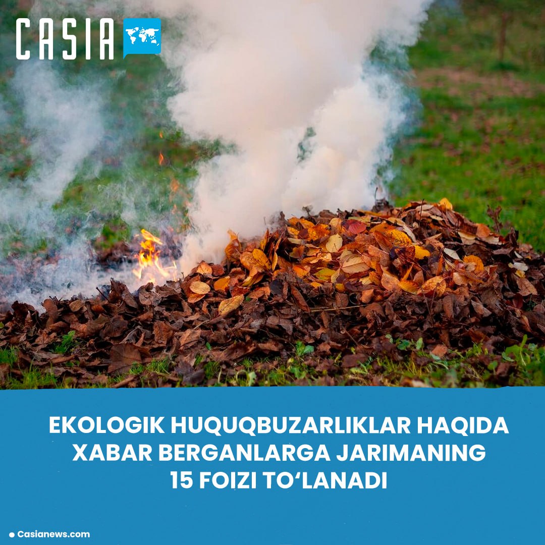 Those who report environmental violations will be rewarded