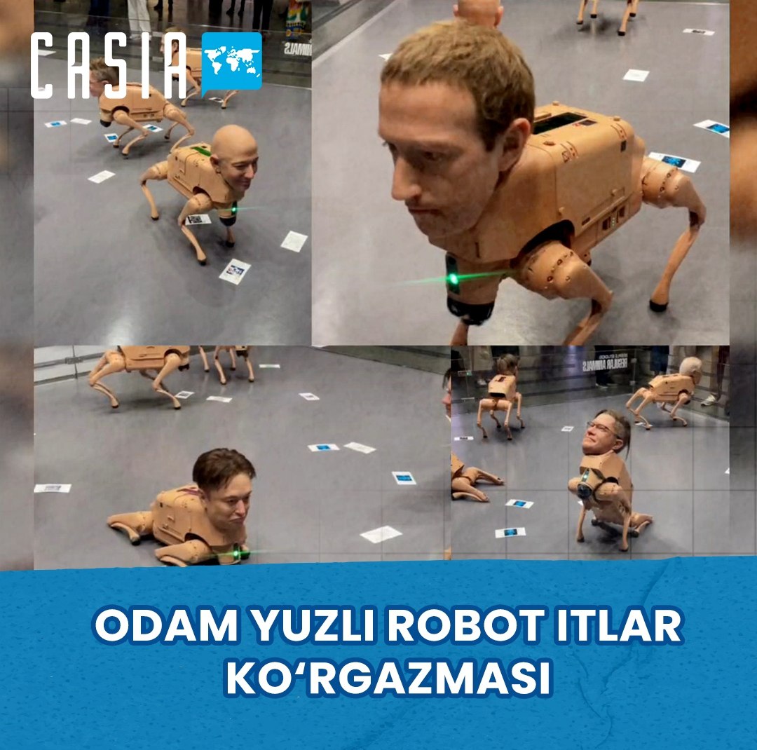 Exhibition of robot dogs with human faces!