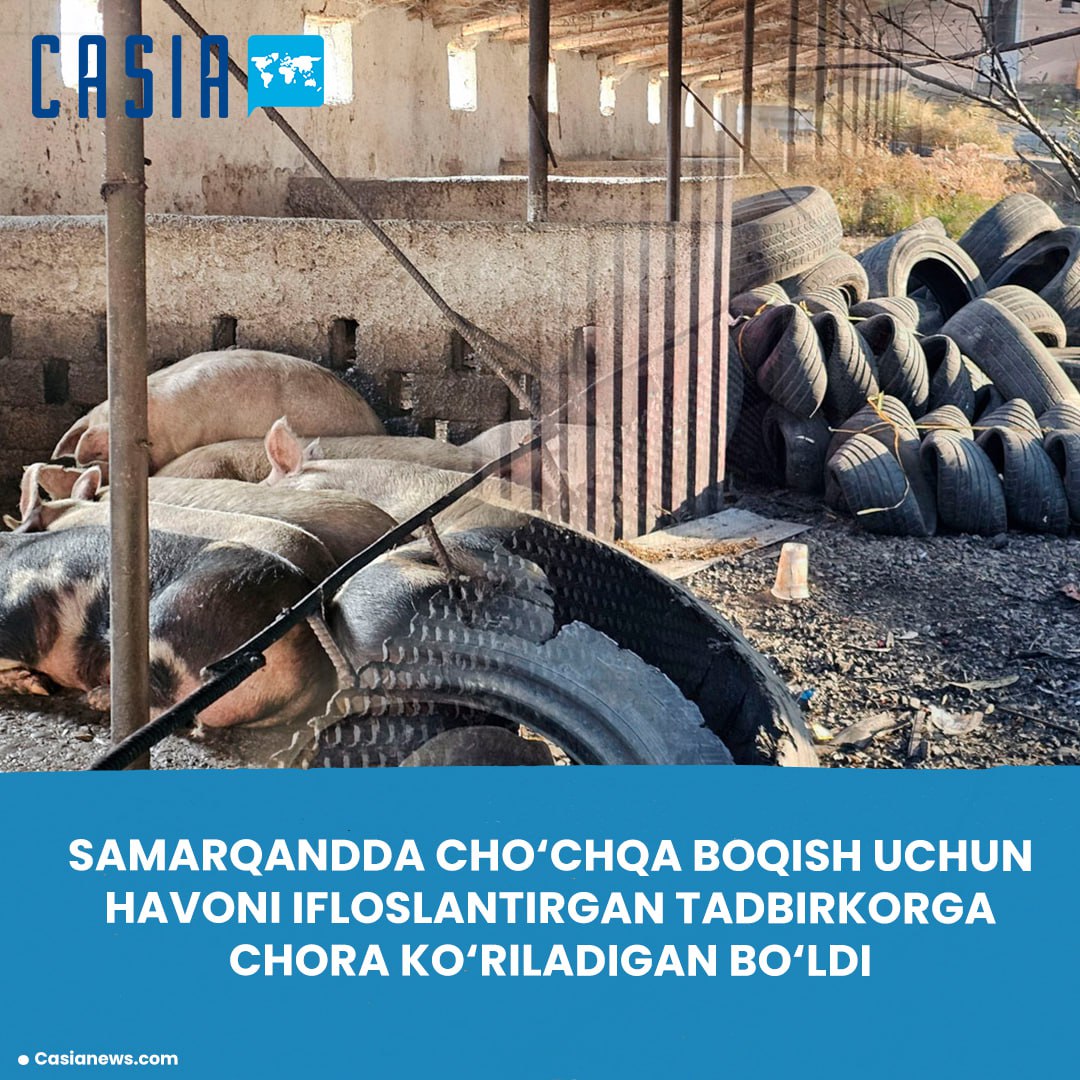 A businessman who polluted the air while raising pigs will face penalties.