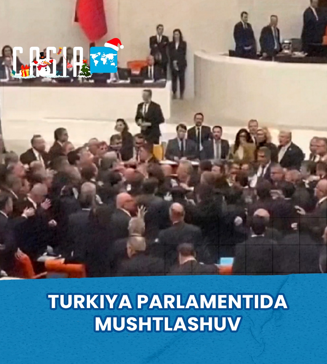 A fight broke out in the Turkish parliament