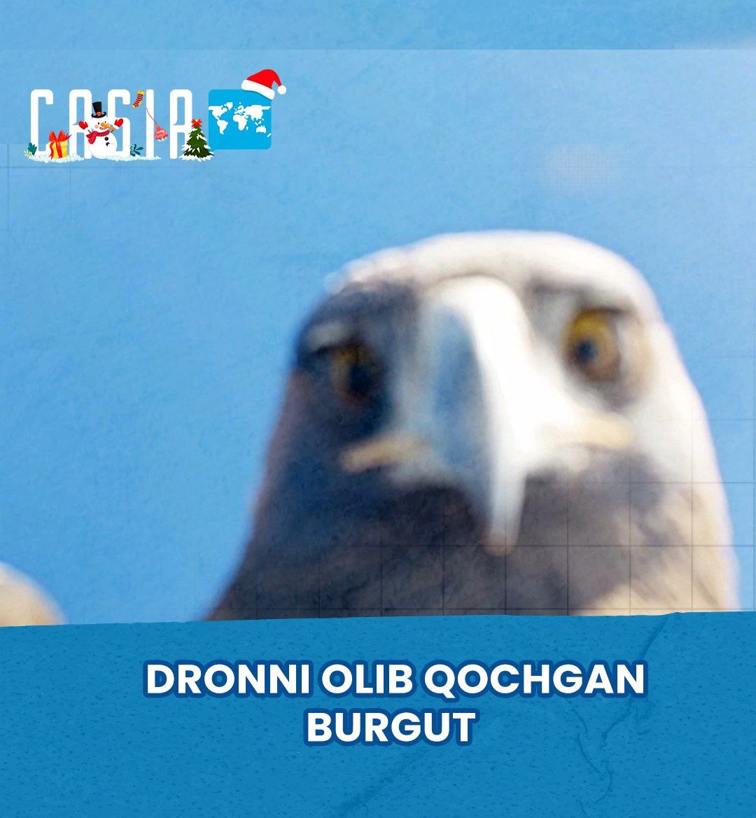 Eagle steals drone in Turkey