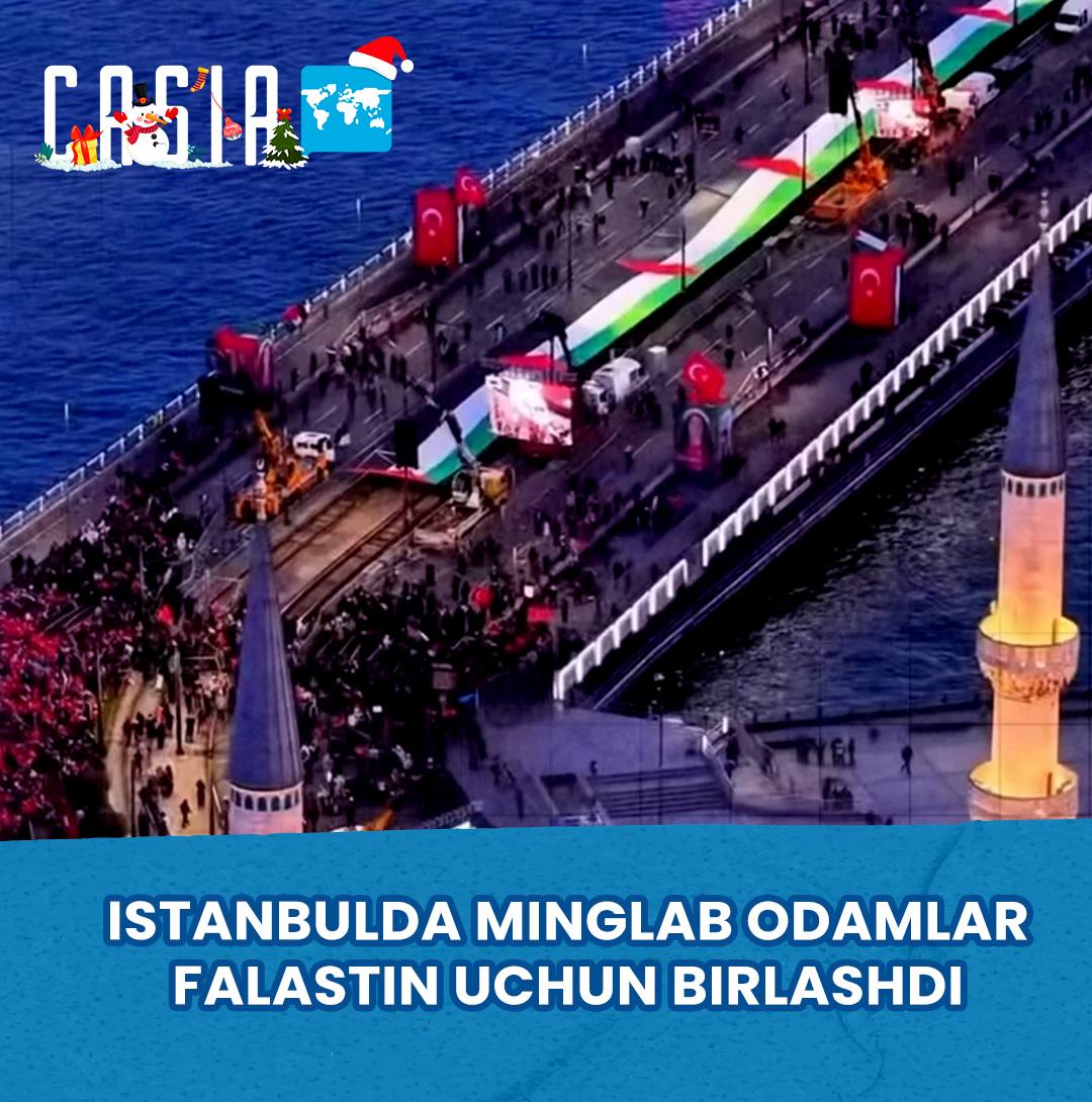 Thousands rally for Palestine in Istanbul