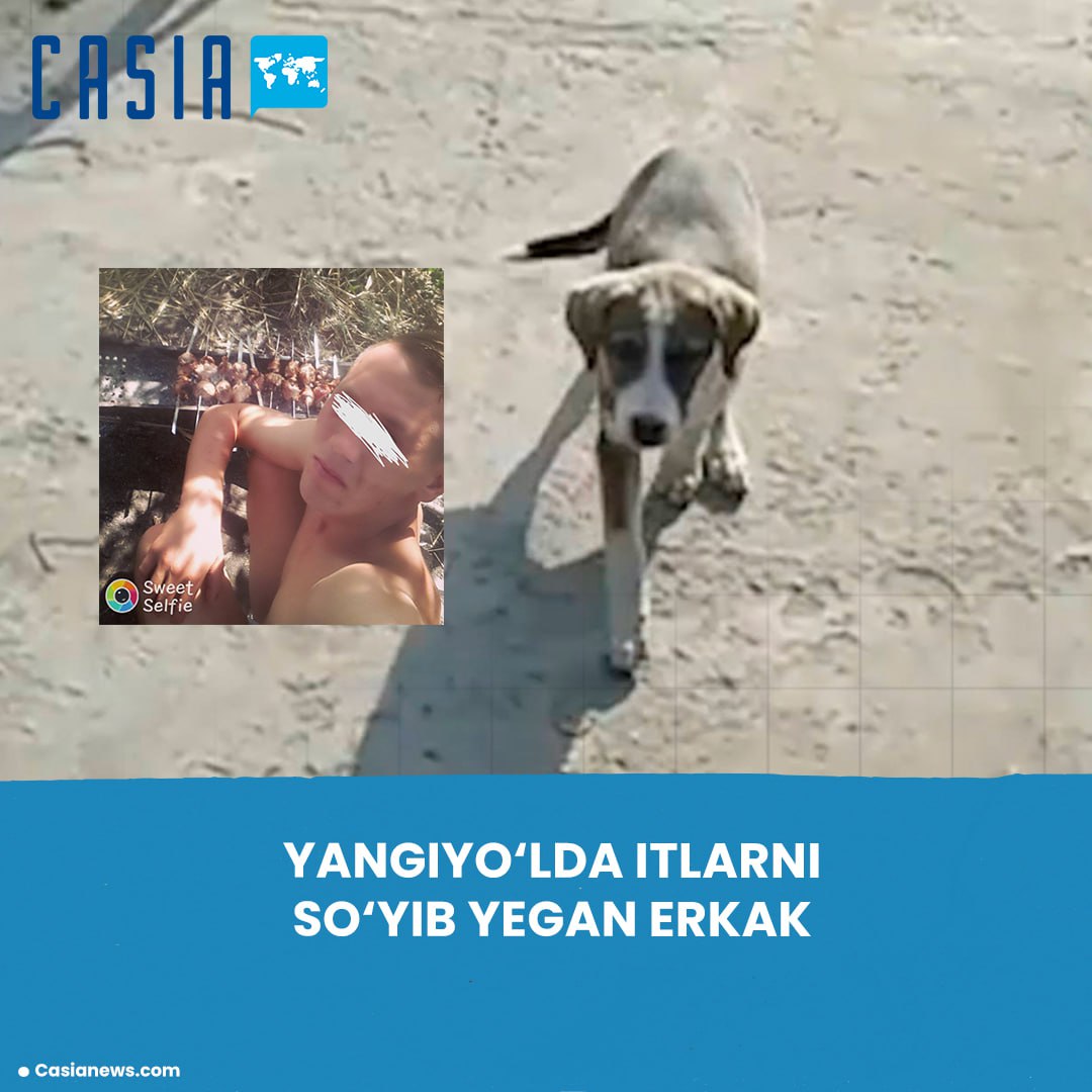 Man who butchered and ate dogs in Yangiyol identified