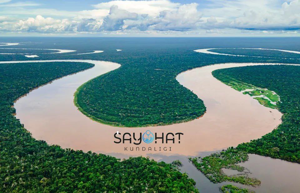 Amazon – A Sanctuary of Wild Beauty