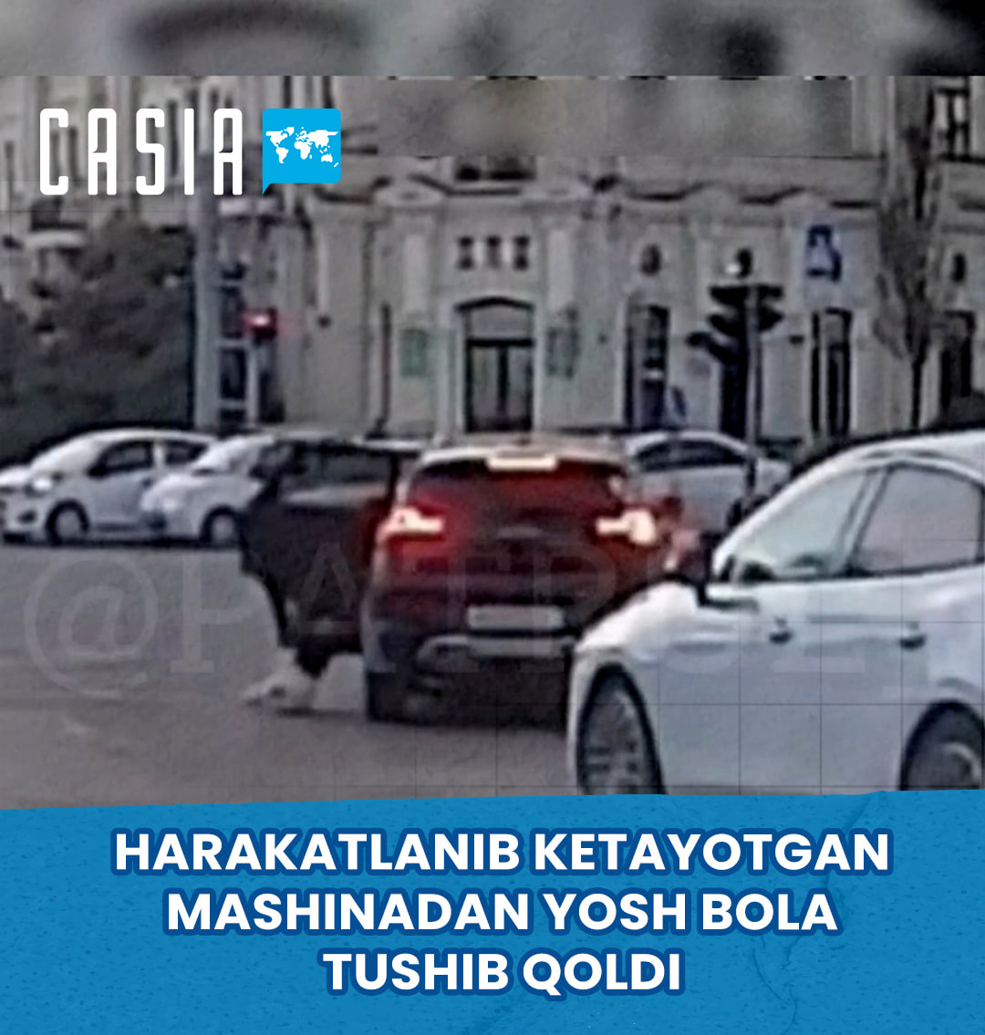 A young boy fell out of a moving car