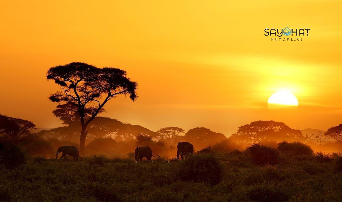 Africa — The Continent of Life and Colors