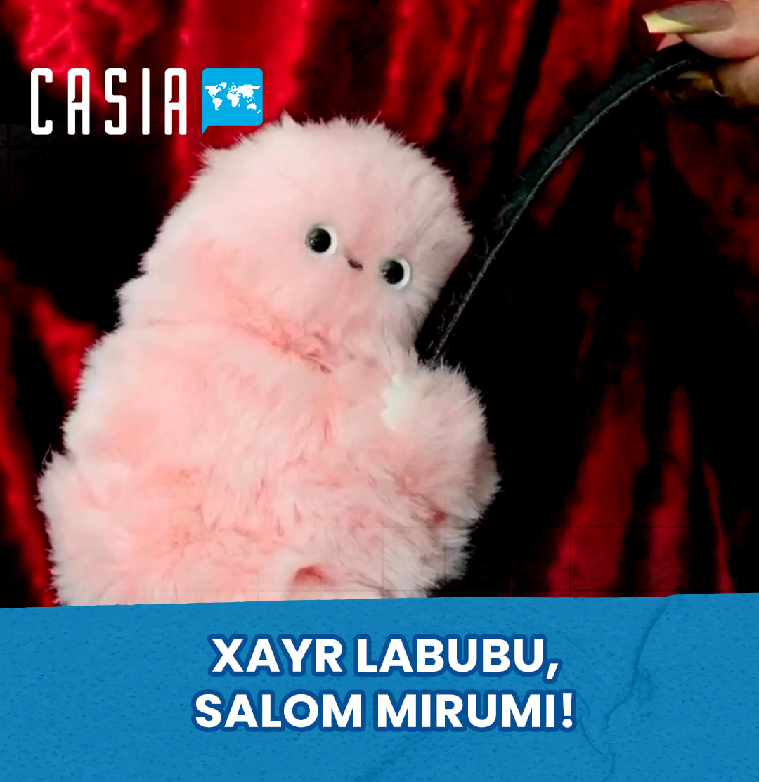 Are you ready for a new trend? Say goodbye to Labubu, hello to Mirumi!