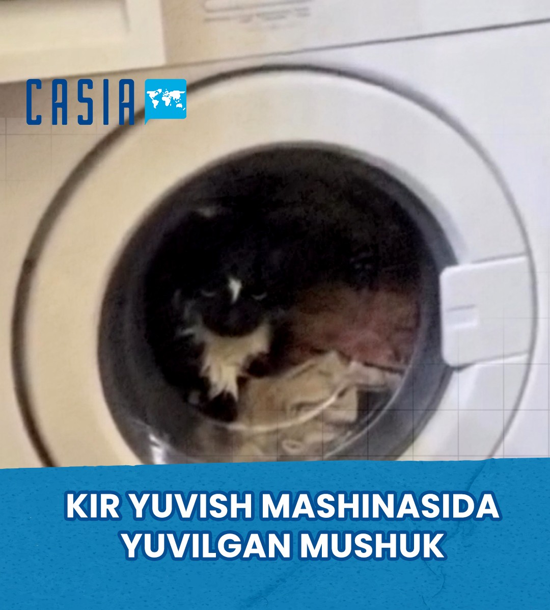 A Cat Got Trapped in a Washing Machine