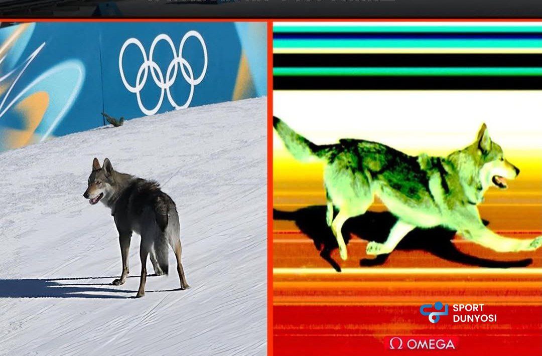 An Unusual Incident at the 2026 Milan–Cortina Winter Olympic Games