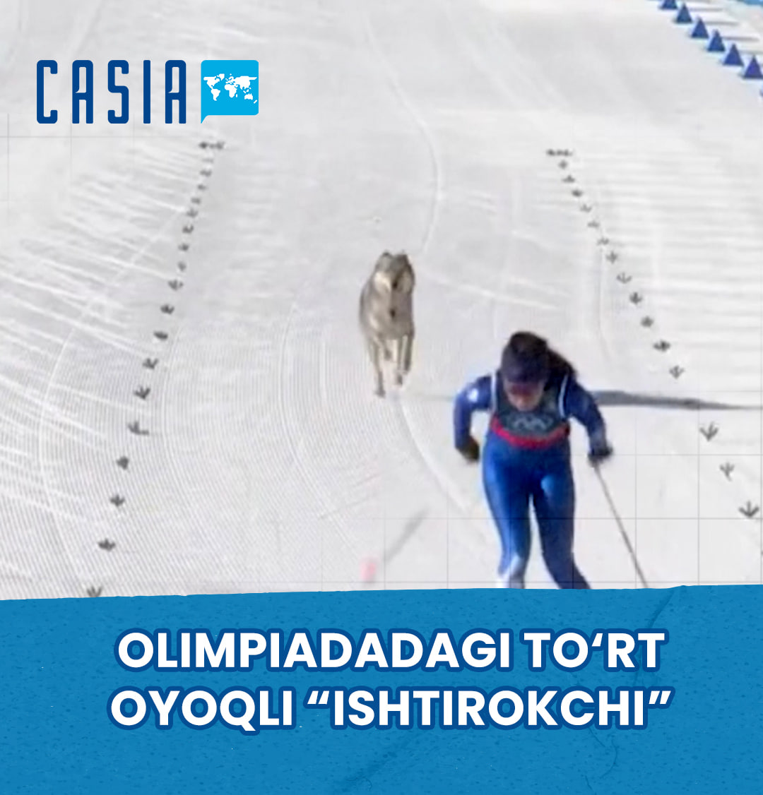 An unexpected participant in the Olympics