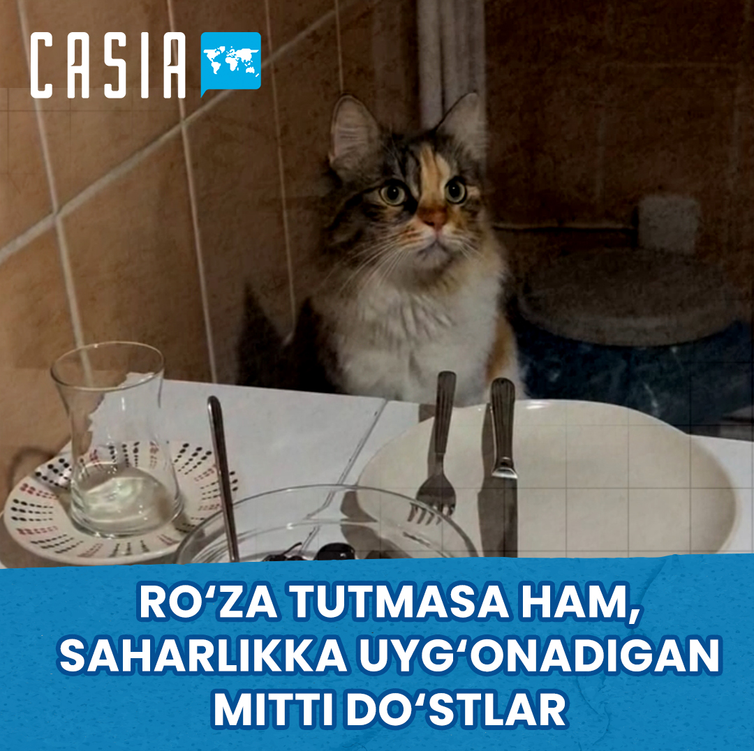Счастливые моменты в компании добрых друзей