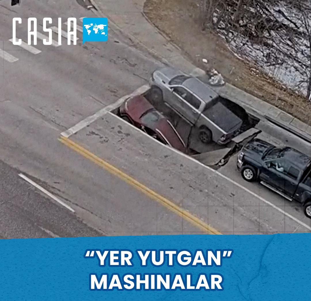 Автомобили, остановившиеся на красный свет, «провалились»