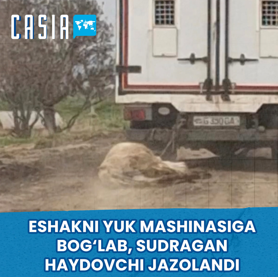 Driver in Jizzakh punished for tying a donkey to a truck