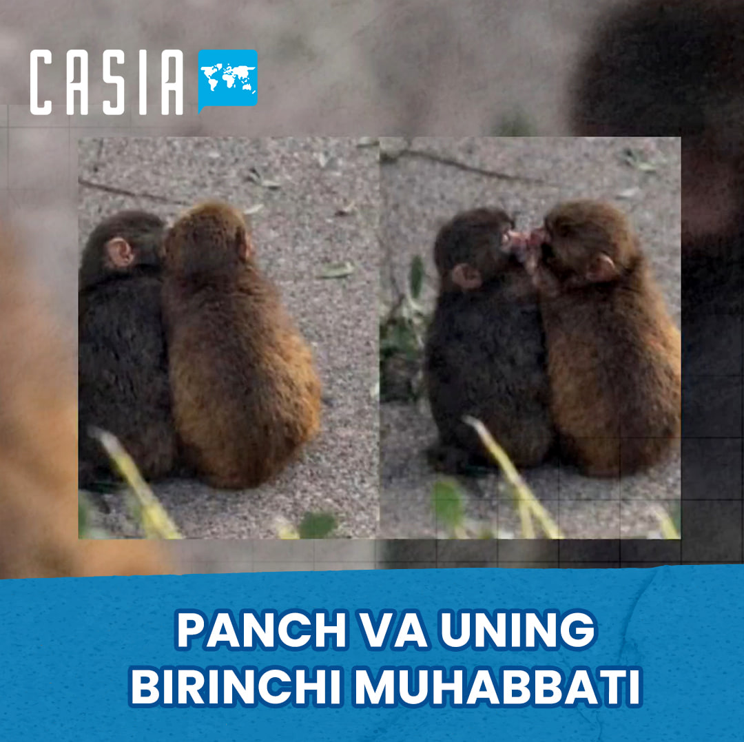 Internet star Panch finds first love