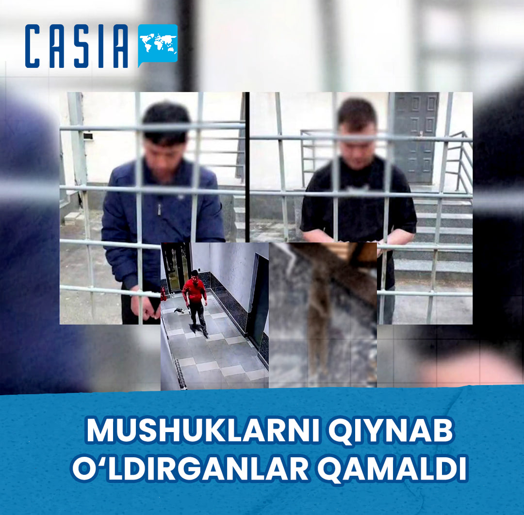 Man who tortured and killed cats sentenced to 15 days in prison