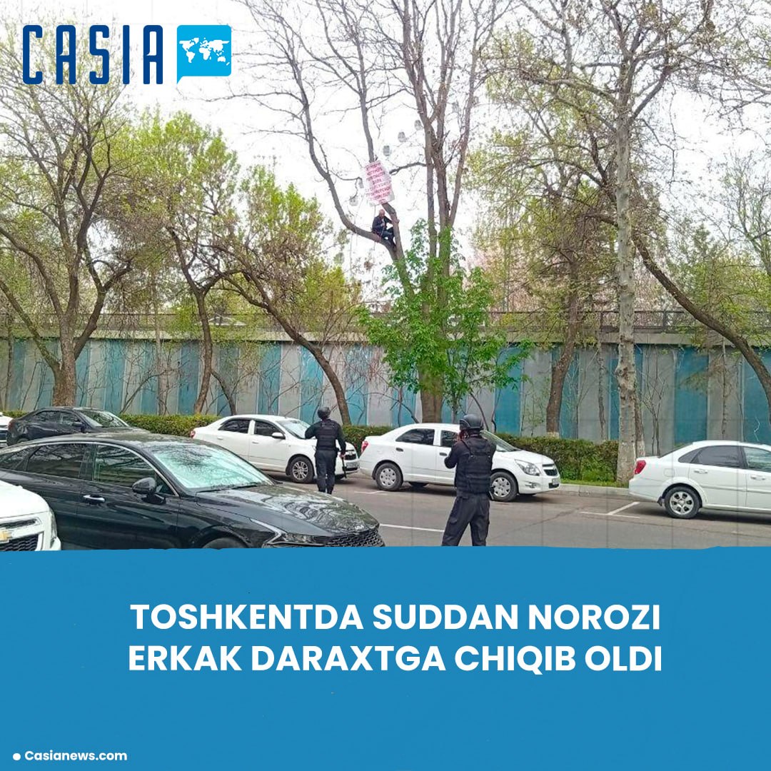 Man climbs tree in protest over court ruling