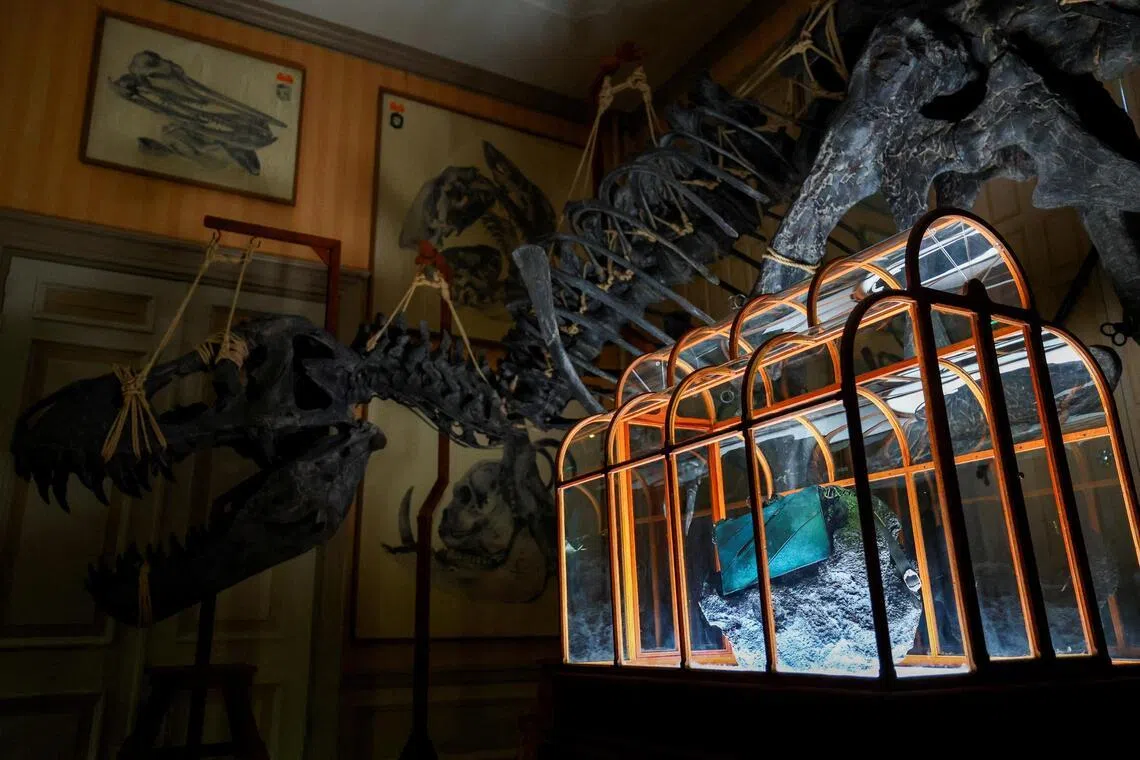 Dinosaur skin bag to be auctioned in the Netherlands
