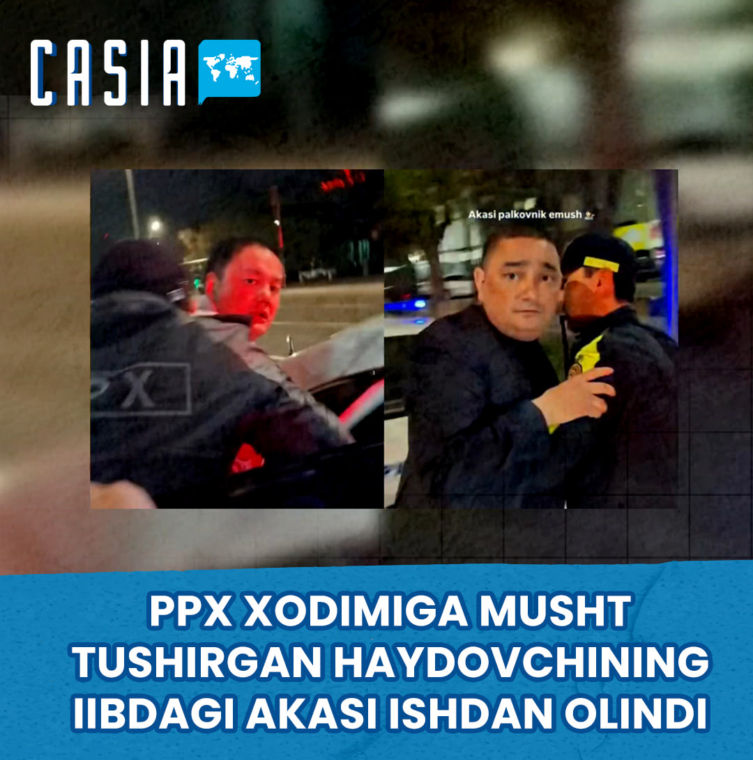 Brother of driver who punched police officer dismissed