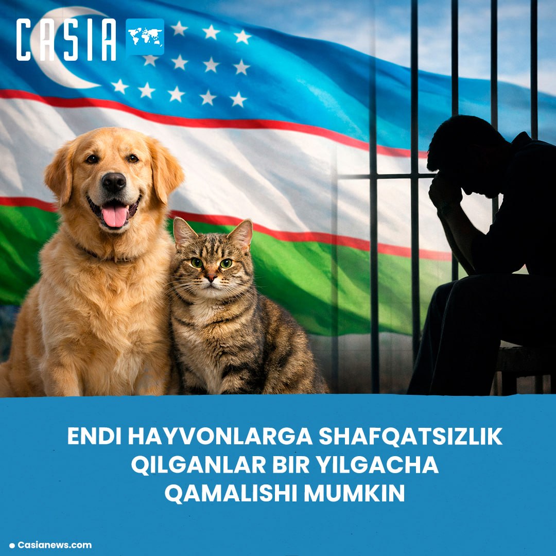Animal cruelty to e toughened