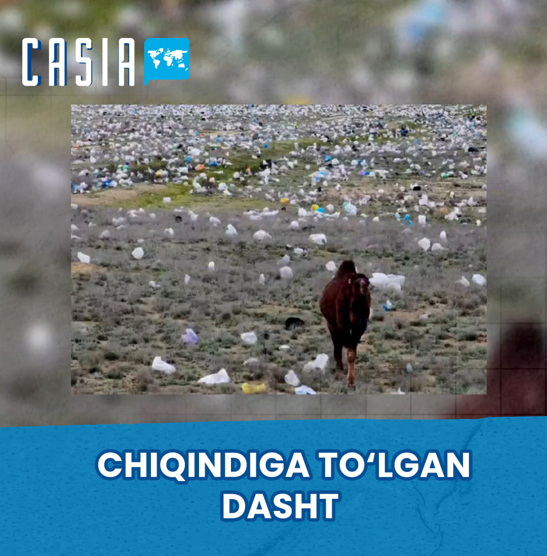 Kazakhstan's waste-filled steppe