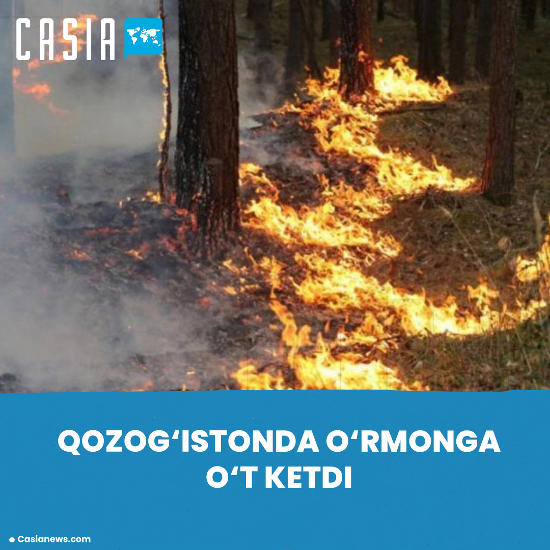 Forest Fire in Kazakhstan