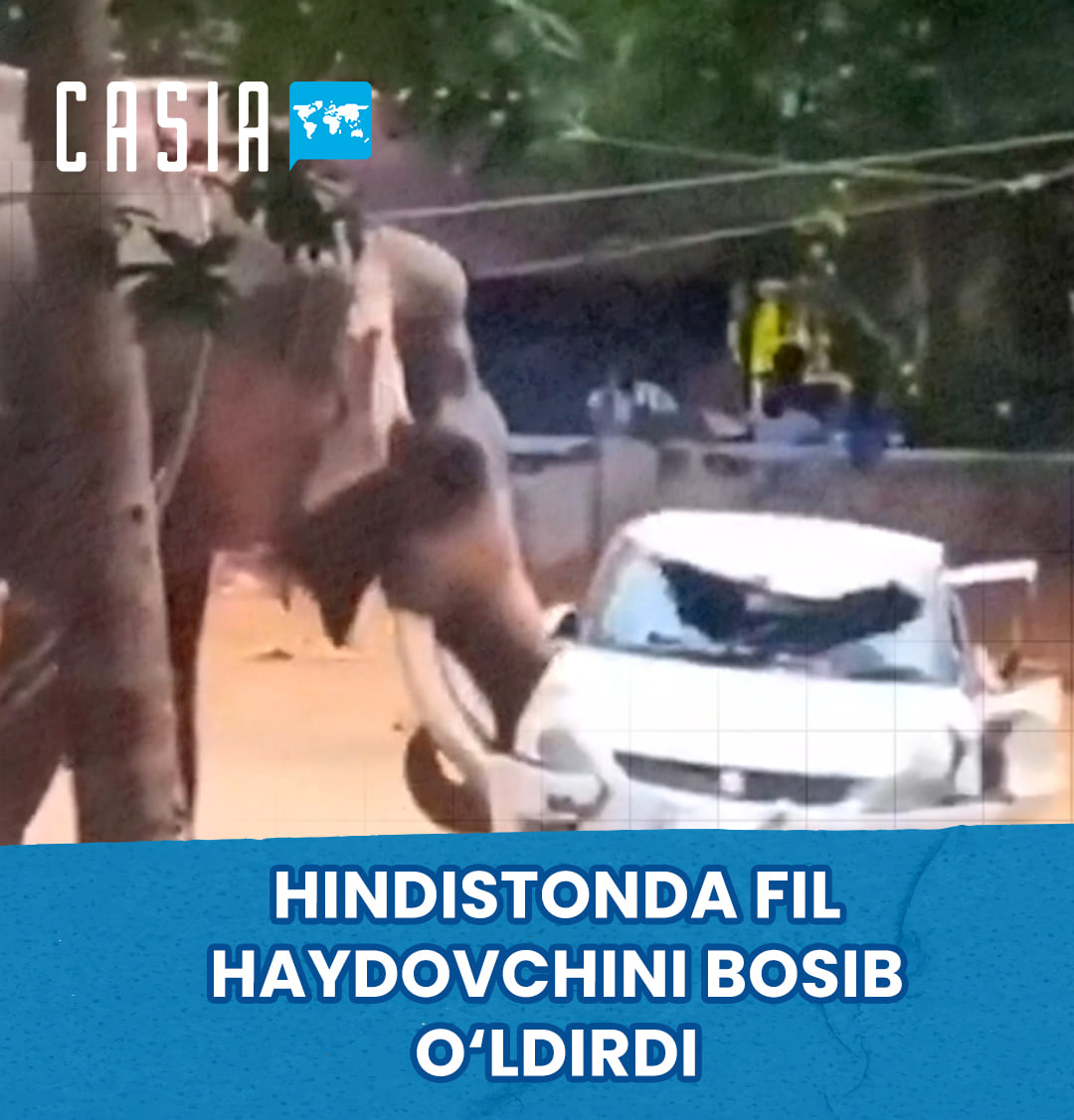 Angry elephant kills driver in India