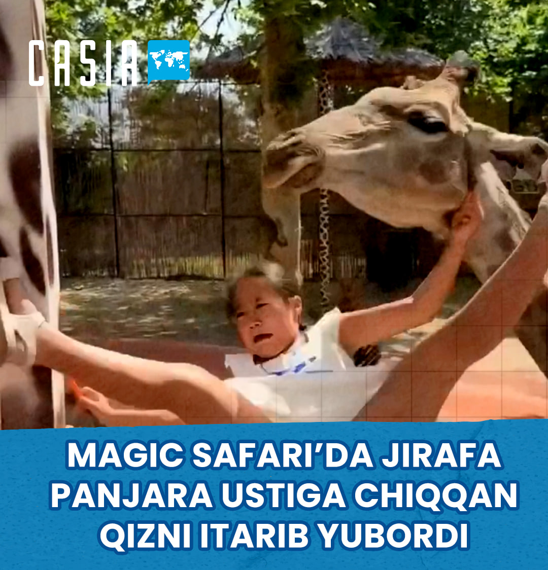 Giraffe pushes girl over fence at Magic Safari