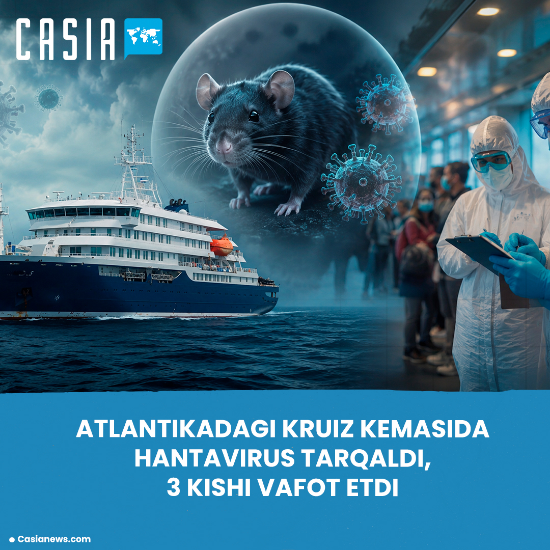 Hantavirus on cruise ship in the Atlantic: 3 people die