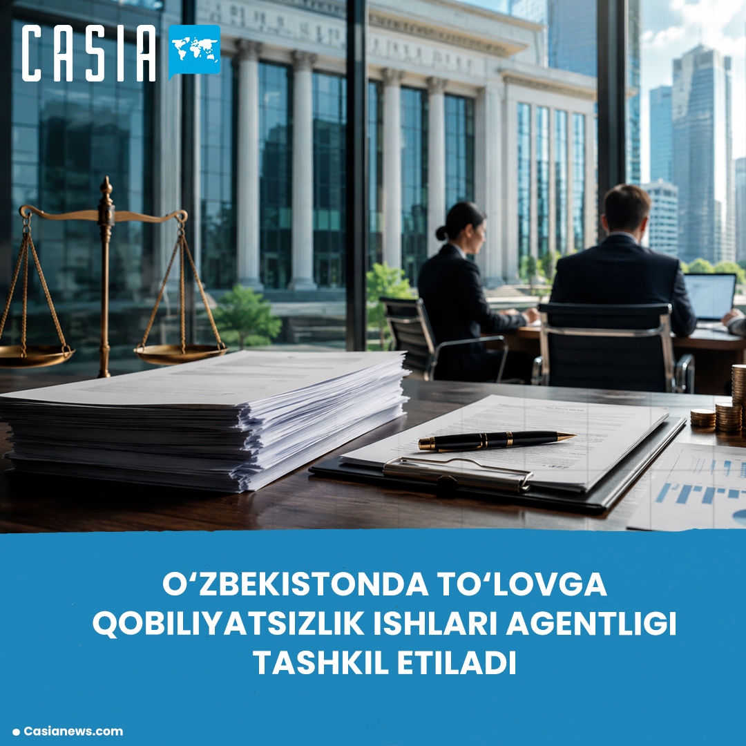 An Insolvency Agency will be established