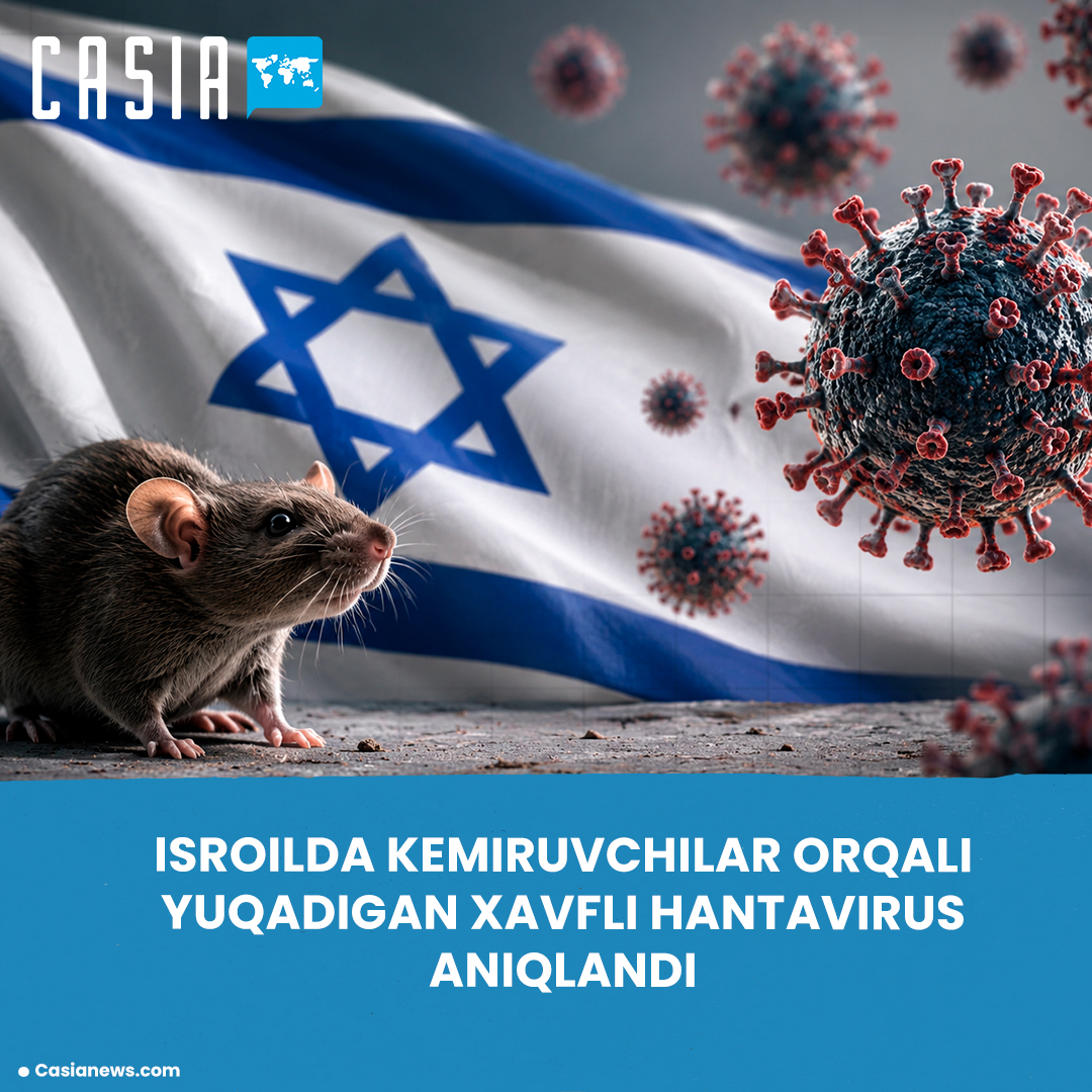 🦠Hantavirus reaches Israel: first case confirmed