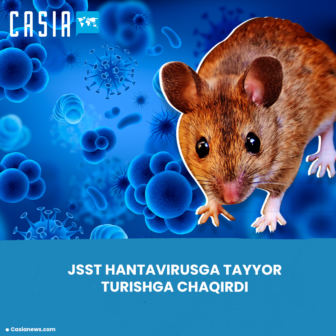 WHO warns of hantavirus outbreak