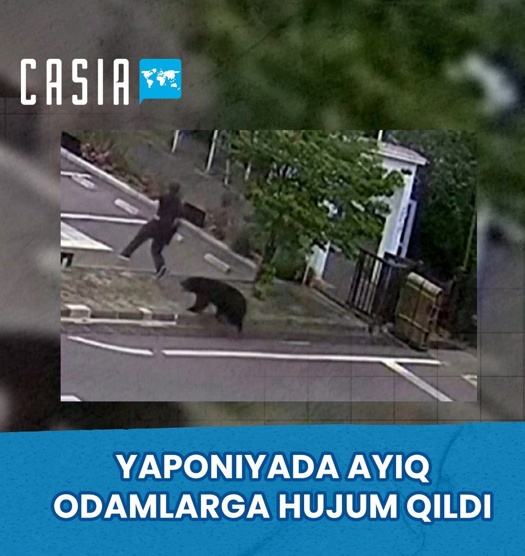 Bear attacks people in Japan, 4 injured