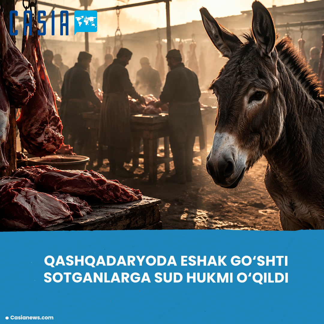 Donkey meat sellers sentenced in Kashkadarya
