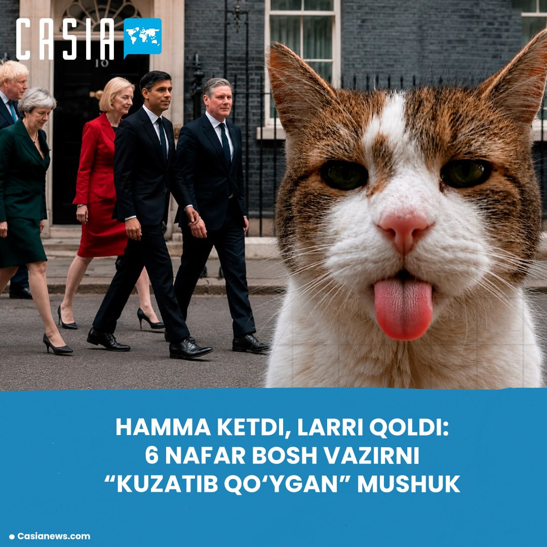 Britain's most experienced "official" 🐈
