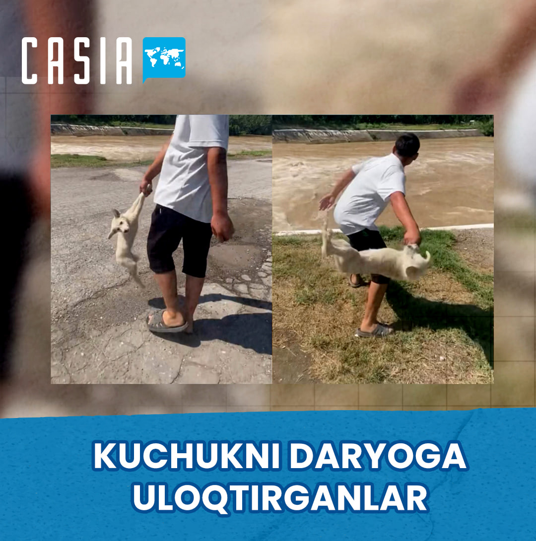 The channel called “We Torture the Dog” has angered the public