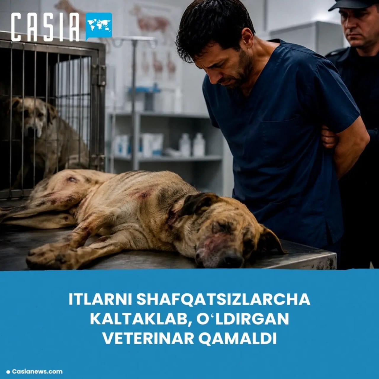 Veterinarian in Tashkent Jailed for Beating Dogs to Death