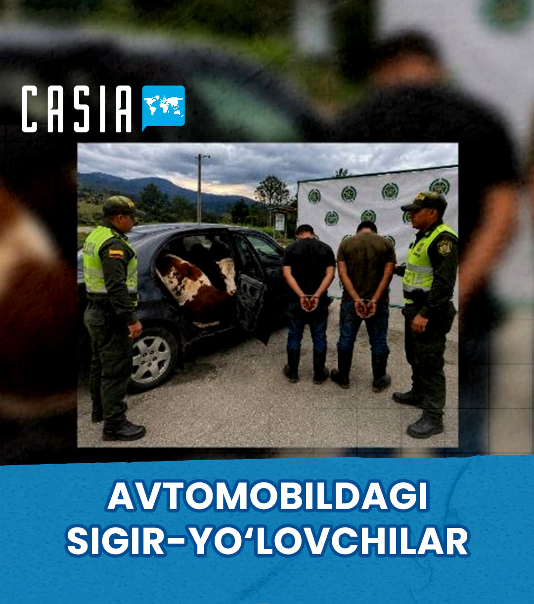 Police in Colombia Catch Cattle Thieves