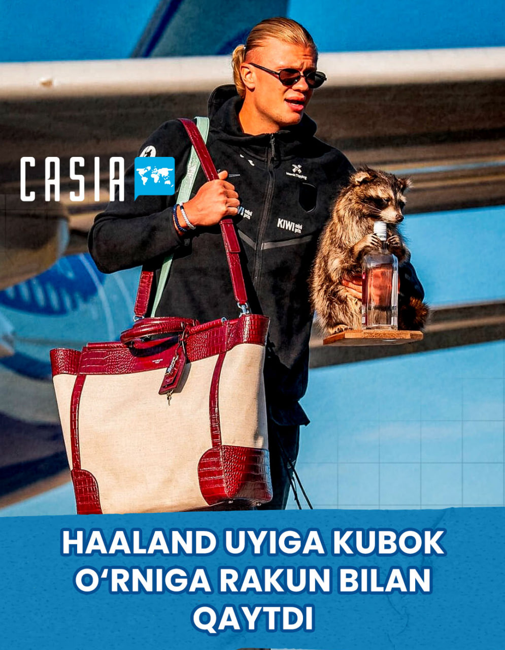Haaland Returned Home with a Raccoon