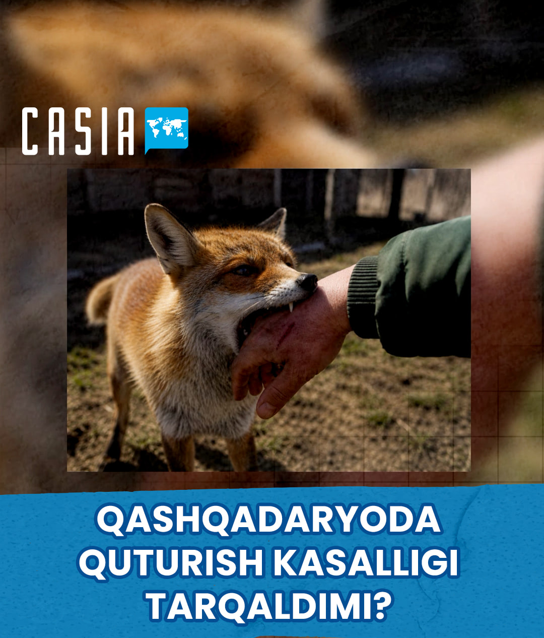Has Rabies Spread in Kashkadarya?