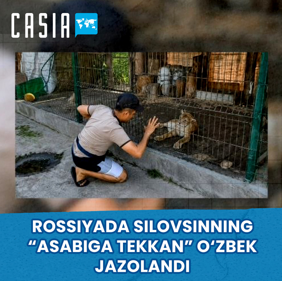 Uzbekistan national punished for disturbing a lynx in Russia
