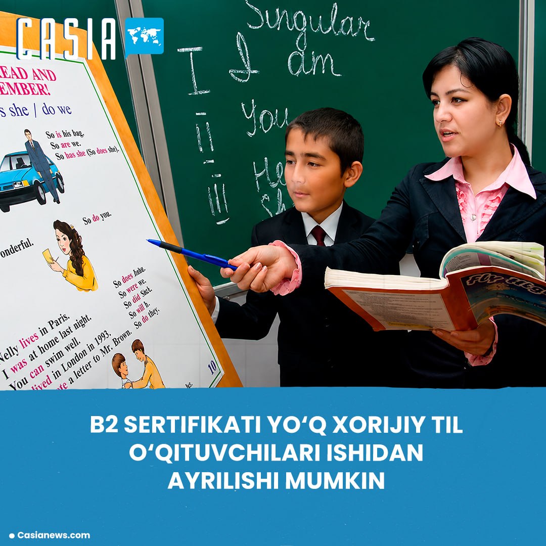 Employment contracts of foreign language teachers without a B2 certificate may be terminated