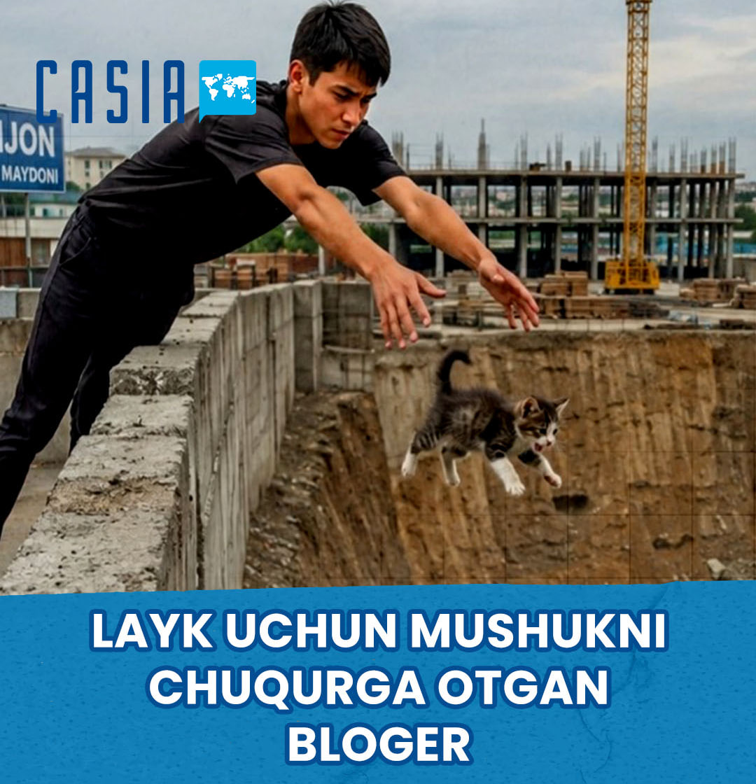 Blogger in Andijan throws kitten into deep construction pit in pursuit of likes
