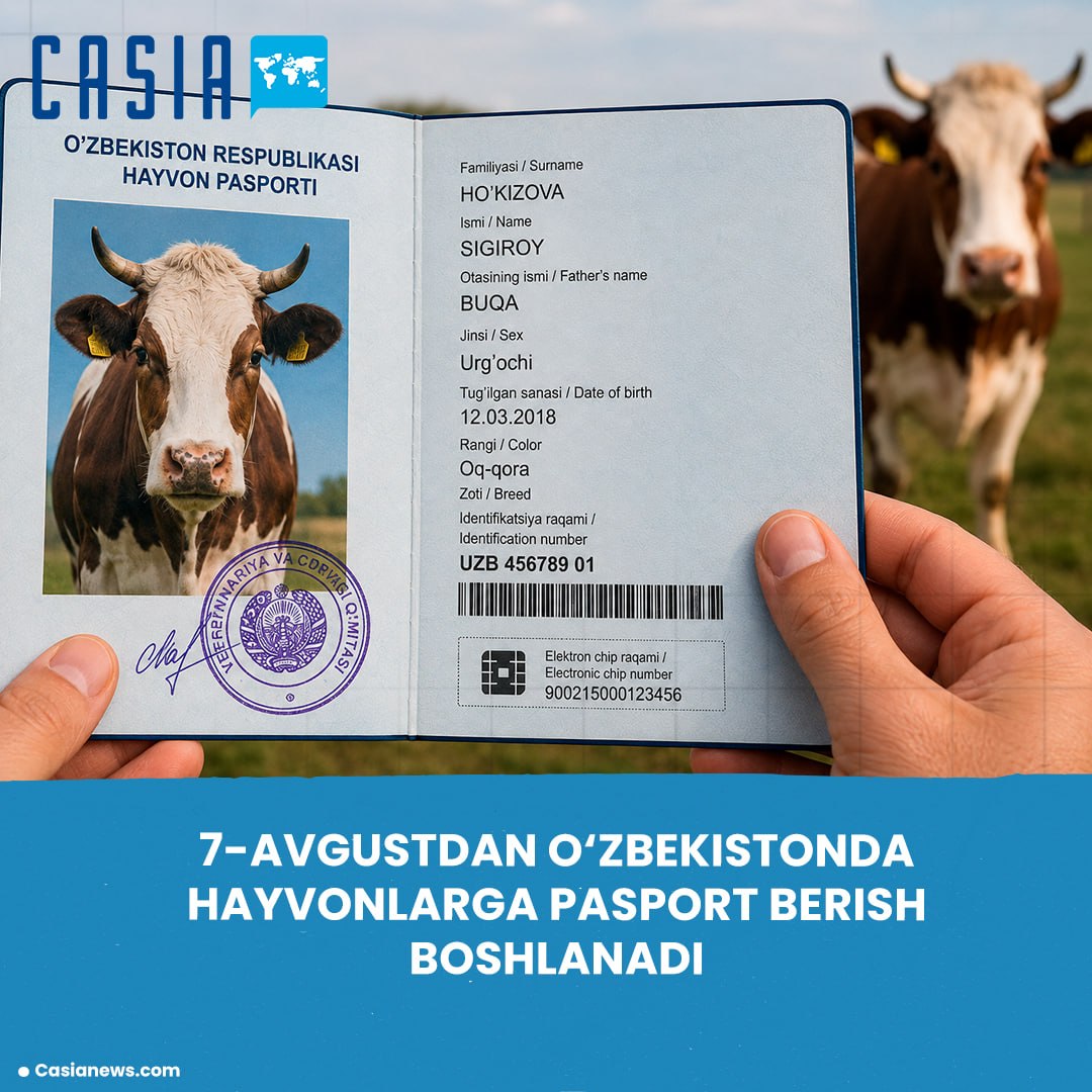 Uzbekistan to introduce mandatory animal registration