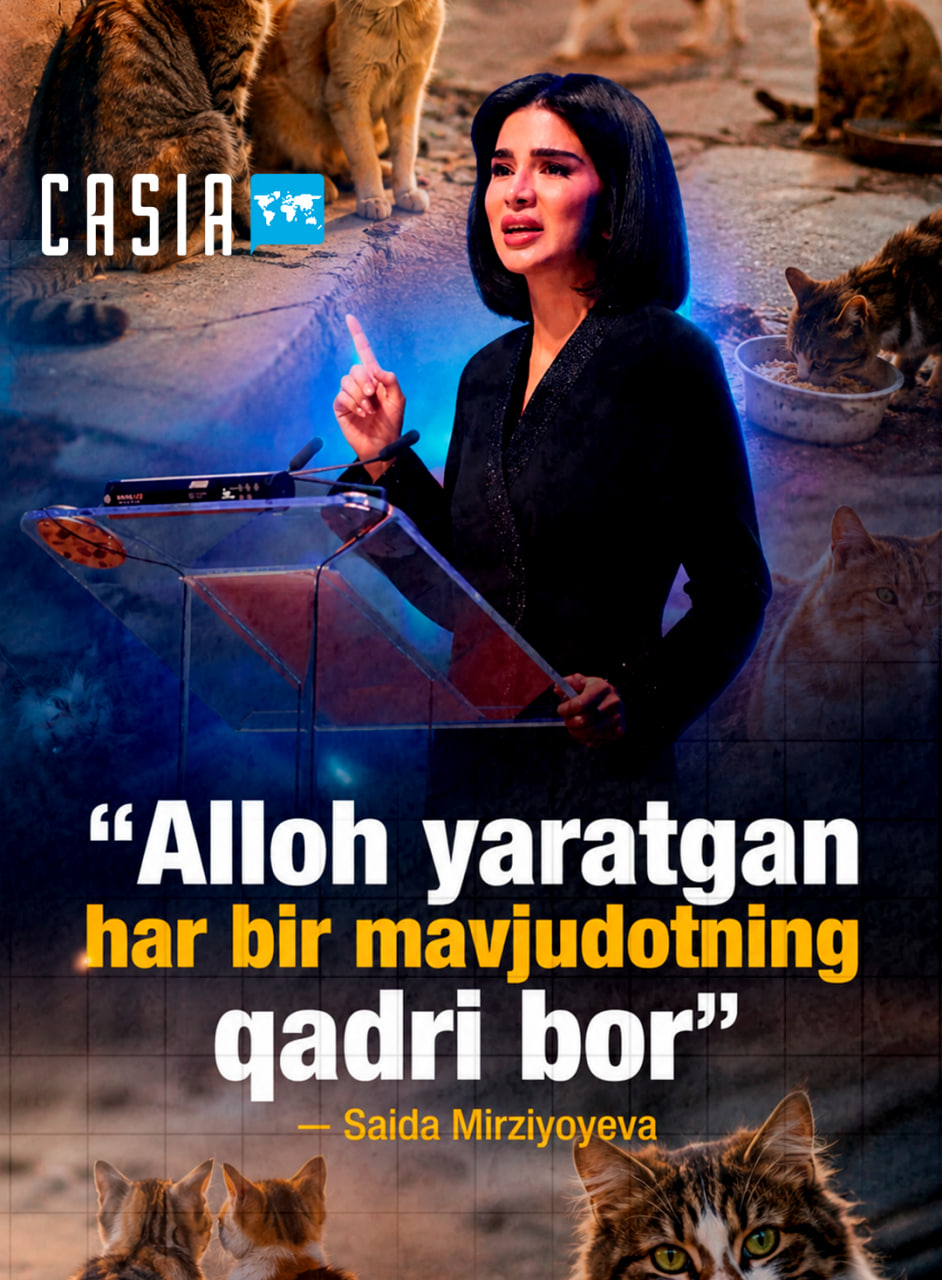 Saida Mirziyoyeva reminds public of tougher penalties for animal cruelty