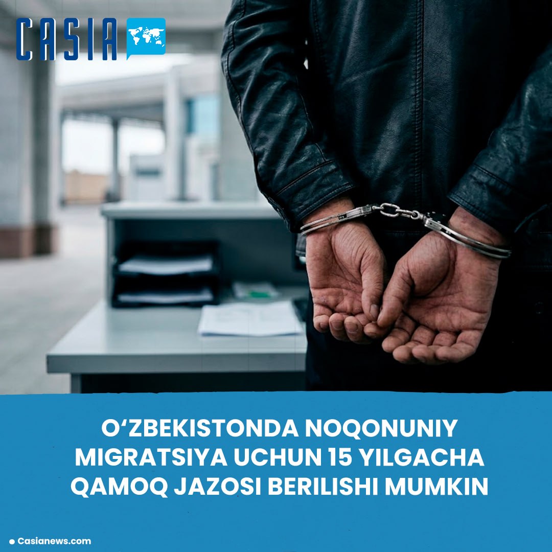 Up to 15 years in prison proposed for organizing illegal migration