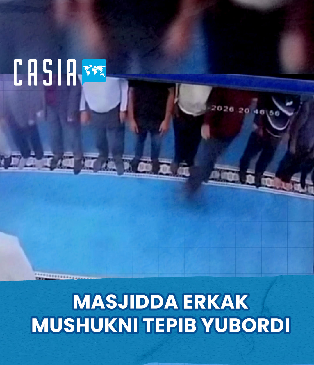 Man Arrested for Kicking a Cat in a Mosque