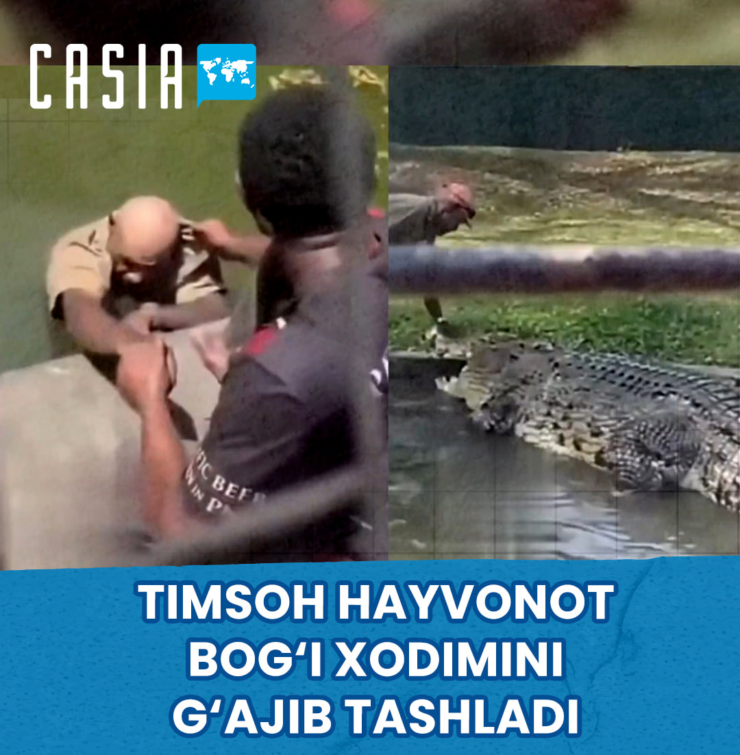Crocodile Mauls Zoo Worker
