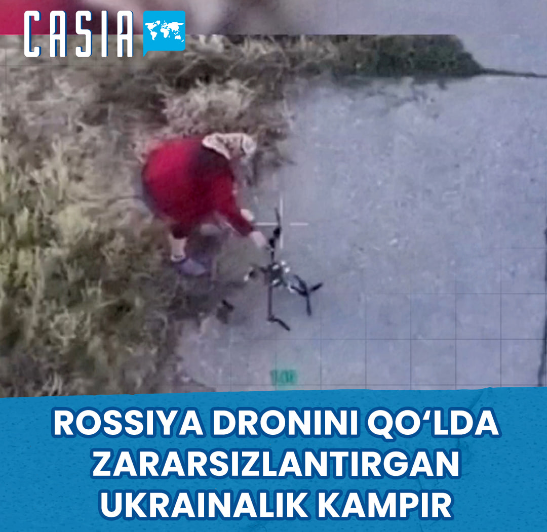 Elderly Ukrainian woman disables Russian drone by hand