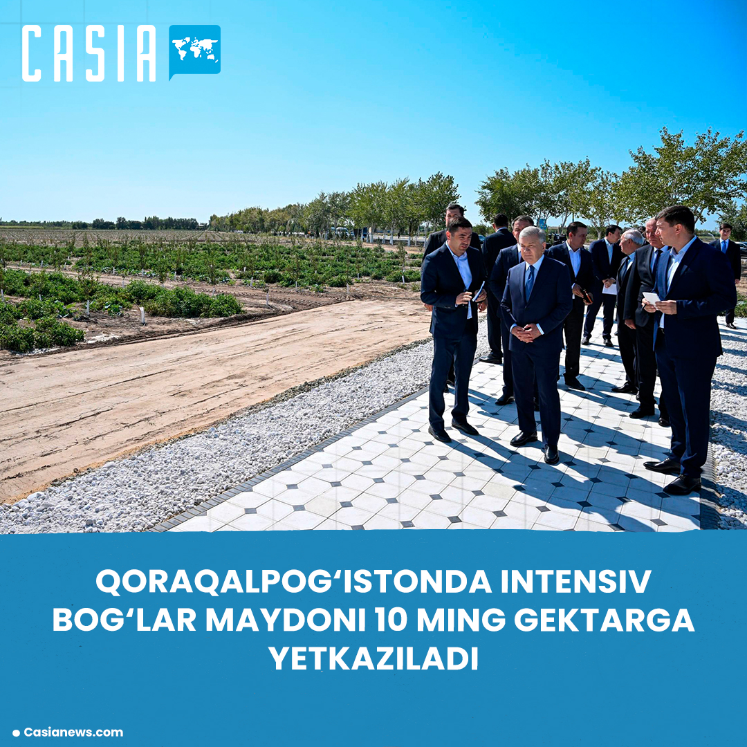 Area of ​​intensive orchards in Karakalpakstan to reach 10,000 hectares